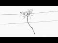 Contradusk - Kayo (Official Audio)