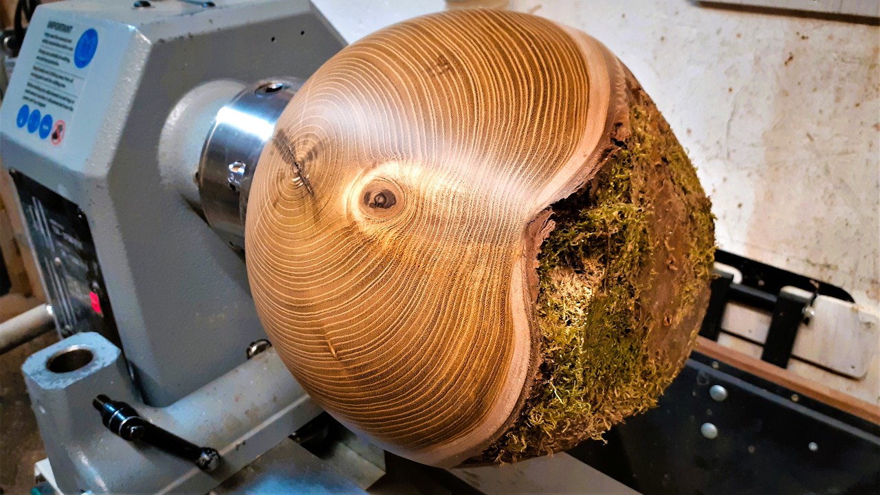 You've Got To Love Laburnum !!