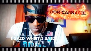 Don Carnagie-I Said What I Said #thelasttestament #mafia #gangland 🔫 ‎⁨@VEVO