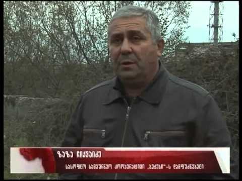 სასოფლო-სამეურნეო კოოპერატივები