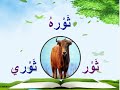 قراءة درس حيلة فلاح للصف الثاني الابتدائي الجزء الأول