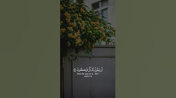 سعد الغامدي سورة يس Saad Alghamidi Surat Yasin