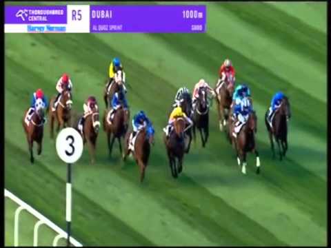 The Dubai World Cup Sprint. The Alquoz . Buffering is a superstar ...