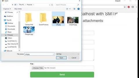 Using phpmailer sending Emails with attachments in PHP from localhost with SMTP