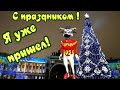 Видео открытка с Новым Годом! Новый Год 2021!  Прикольные видео поздравления с новым Годом от Быка!