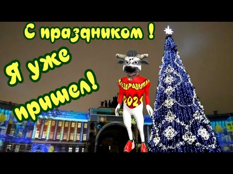 Видео открытка с Новым Годом! Новый Год ! Прикольные видео поздравления с новым Годом от Быка!