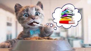 Fun Pet Animal Care Kids Games - Little Kitten Preschool - Educational Games for Kids screenshot 5