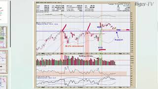 🔴TFNN- Live Financial Analysis and Market News Every Market Day!