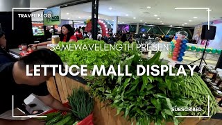 Farm Vlog: Lettuce Mall Display #hydroponics #lettuce #farm