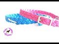 Plaited adjustable paracord dog collar for small/medium dog