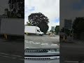 Van Forgets To Give Way to the Right… Emergency Stop 🚨