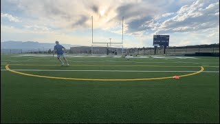 Reaction saves, Recovery Saves, and Live Shots | Division 2 Goalkeeper Training