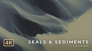 SEALS & SEDIMENTS – Aerial Study of a Glacial River (4K Drone / Iceland)