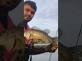 tucunaré no molinete #fishing #pescaria #nature #caminhoparaumavidamelhor