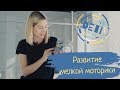 Развитие мелкой моторики / ДетиТайм