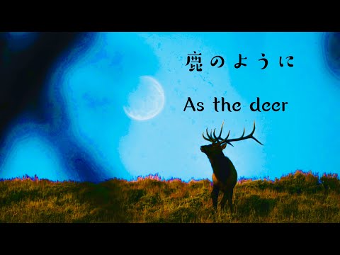 As the Deer 鹿のように　日本語　worship cover 賛美　谷川の流れを慕う鹿のように