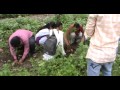 Shri K.J. Polytechnic College Others(1) Shri K.J. Polytechnic College Others(1)