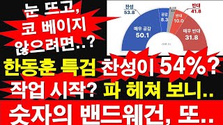 한동훈 특검 찬성이 54%? 작업 시작? 파 헤쳐 보니..숫자의 밴드웨건, 또.. 눈 뜨고, 코 베이지 않으려면..? [레지스탕스TV, 정광용TV]