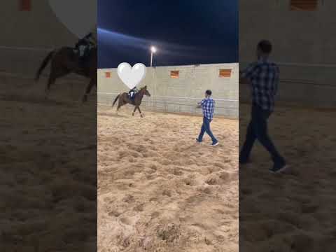 الفارس سلطان بن نايف القحطاني