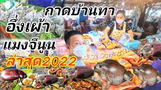 Family ตะลอนทัวร์ Ep5.ตลาดบ้านทา ฤดูกาลอึ่งเผ้า🐸 แมงจีนูนไข่🐞สุดยอดตลาดอาหารป่า เมืองลำพูน