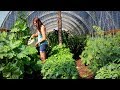 July Garden Tour in Alaska | How We Plan to Eat All This Food