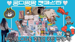 사냥 다녀왔어요 지방러의 첫 궁팡 정복기 !!‍⬛ (feat. 부산여행VLOG)