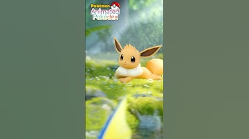 Which Eeveelution are you? 🤎💙💛❤️💜🖤💚🤍💝