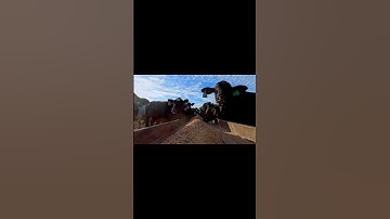 Efficient Cattle Feeding: Self-Moving Rail in Action