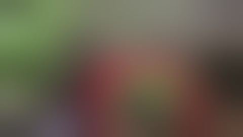 West Country Gorillas part 8 water solutions sorted and plant update