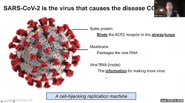 COVID Vaccines - Explained by a Scientist