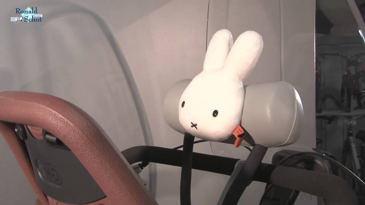 Gazelle Bloom, de ideale moederfiets - YouTube