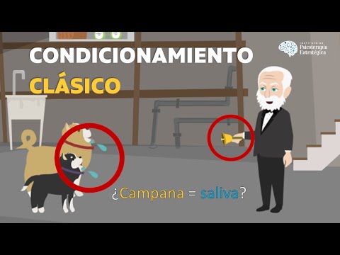 Video: ¿Qué sucede si un perro bebe alcohol?