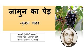 Jamun ka Ped जामुन का पेड़   Only for CBSE 11 Hindi /Not for ICSE  class10 /2020