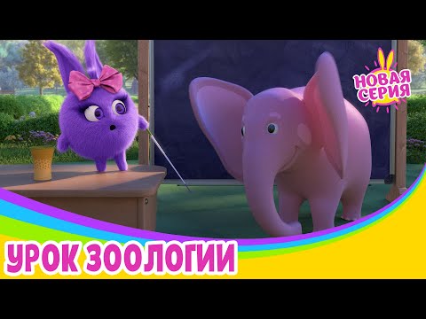 Солнечные зайчики - Урок зоологии | Сезон 4 | Мультики для детей
