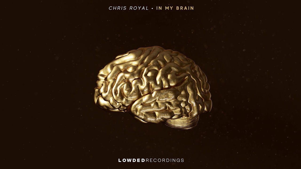 Brains mp3. Chris Royal. Минус мозг. Pickled Brains Remix.