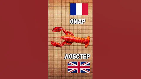 Чем омар отличается от лобстера