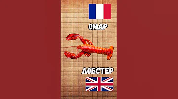 Чем омар отличается от лобстера