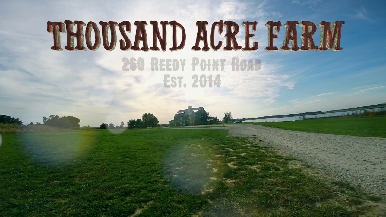 THOUSAND ACRE FARM YouTube