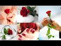 Rose dpz|Red rose Whatsapp dpz|Rose Images WallpaperWhatsapp|Rose dp pic for Girls/ Beautiful dps