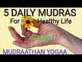 Daily mudrasdaily mudras yogafor healthmudras for daily practicemudras to do dailyyogamudras