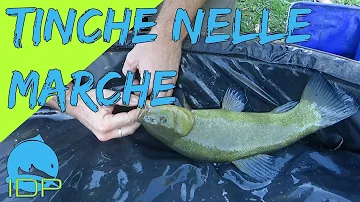Quali sono i laghi nelle Marche?