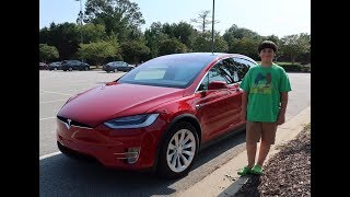 Day 82 Tesla Ruby No Labor Just Relax