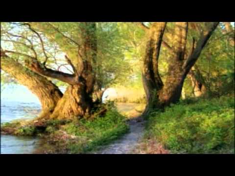 official secrets Programa A Palavra Viva de Deus 08/03/14