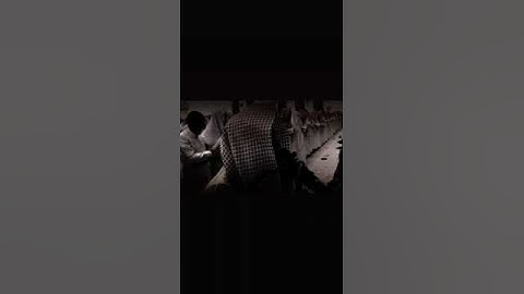 القارئ اللحيدان | سورة المؤمنون | قد أفلح المؤمنون /تلاوة خاشعه 🌺.