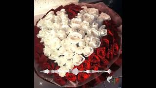 новая цыганская песня 2023🥀🕊😻