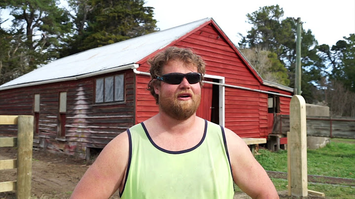 Dans un ranch en Nouvelle Zélande