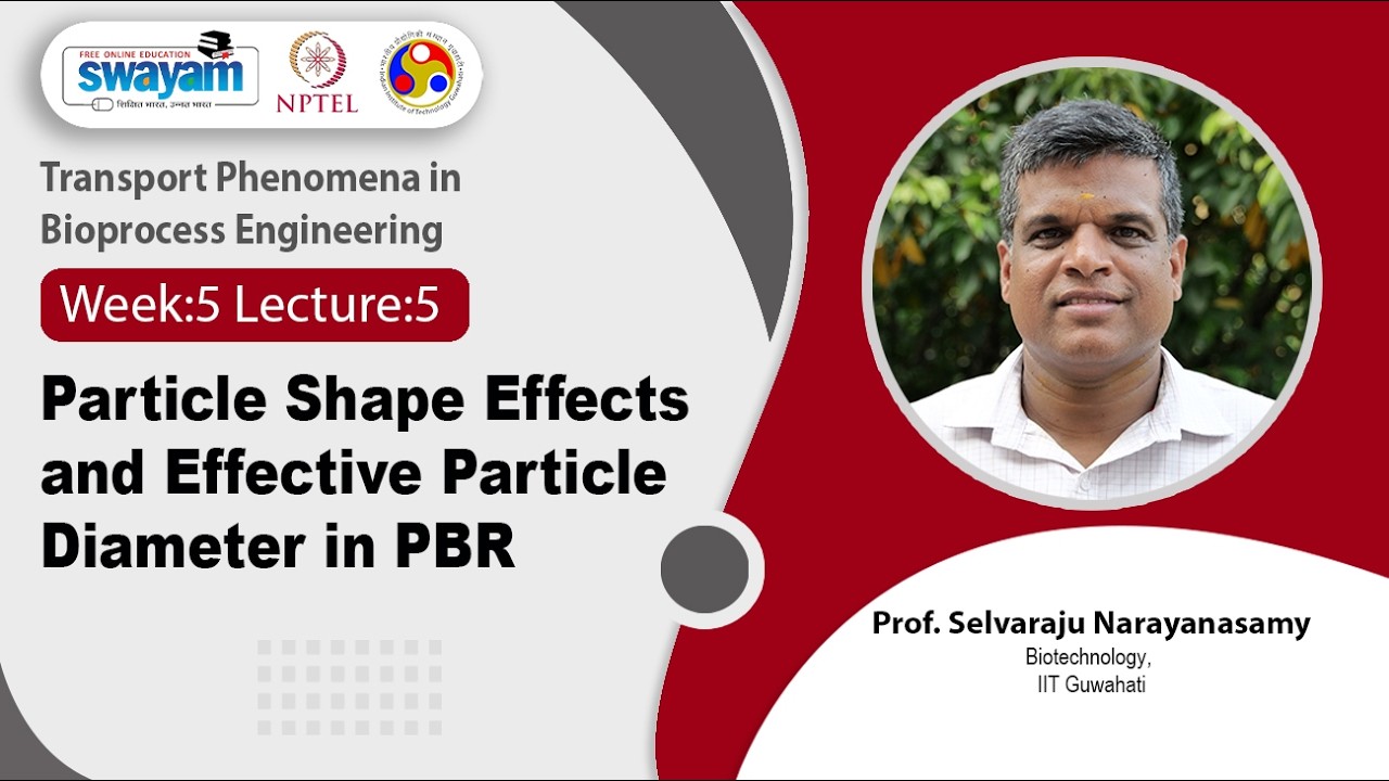 Lec 25: Particle Shape Effects and Effective Particle Diameter in PBR