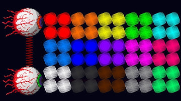 The Amazing 12 Legs Eliminations Marble Run Race ASRM in Algodoo