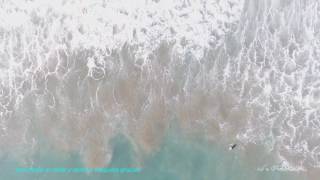 Playa La Pineda 2016 PADDLE SURF 21 diciembre