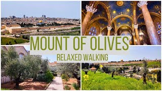 Relaxed Walking on Mount Olives | Jerusalem In Spring 🌼